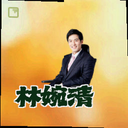 林婉清